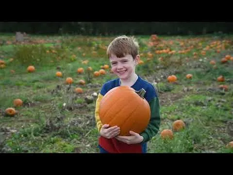 Pumpkin Festival at Odds Farm Park