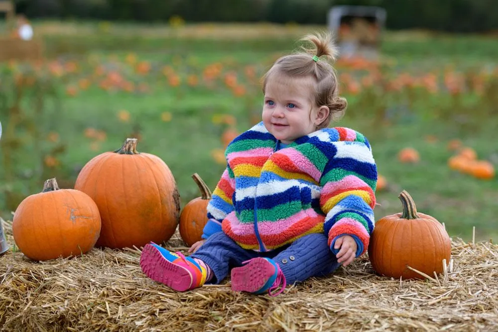 Pumpkin patch toddlers