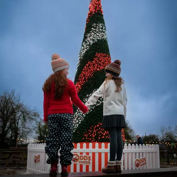 Tree Twinklelight Shows