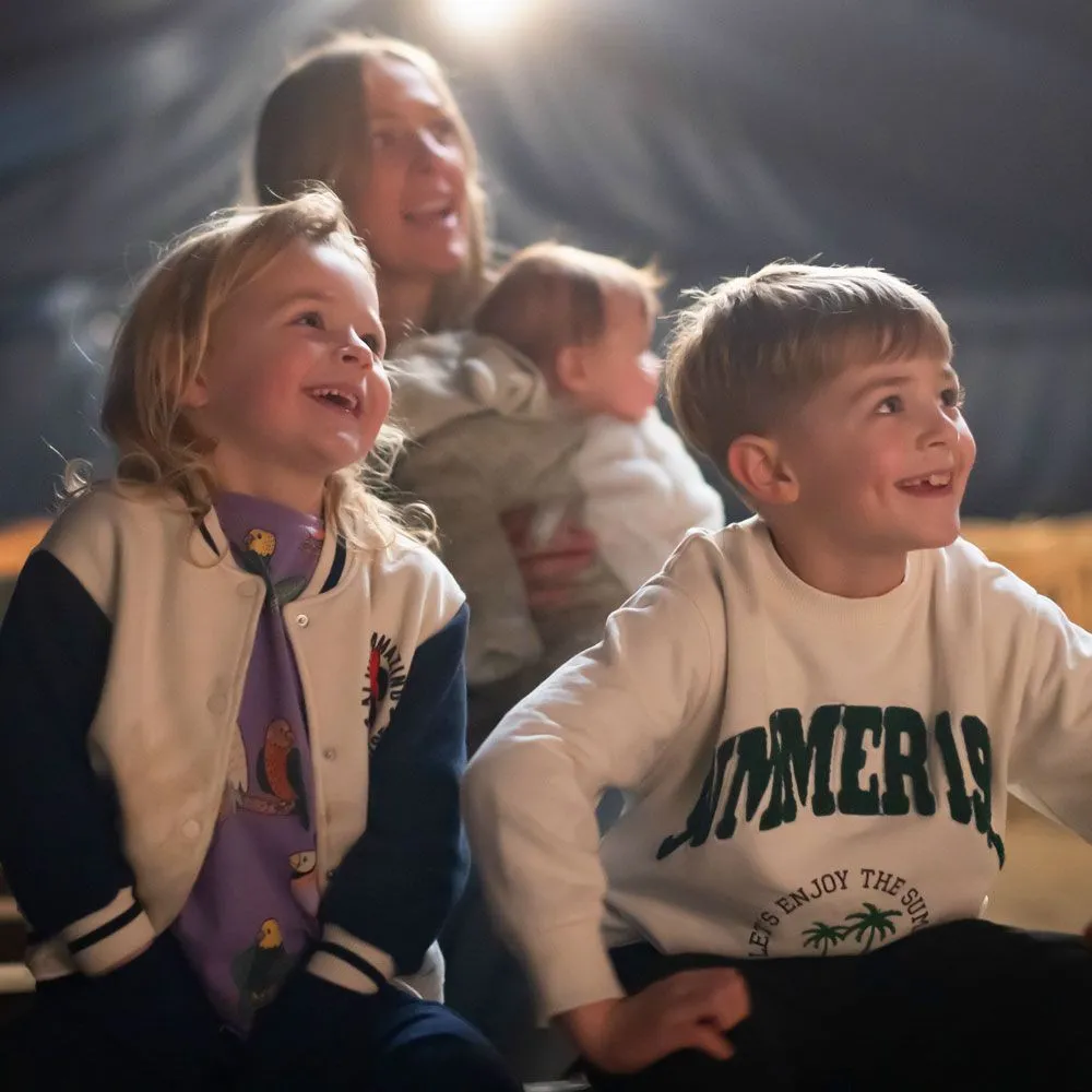 live entertainment shows