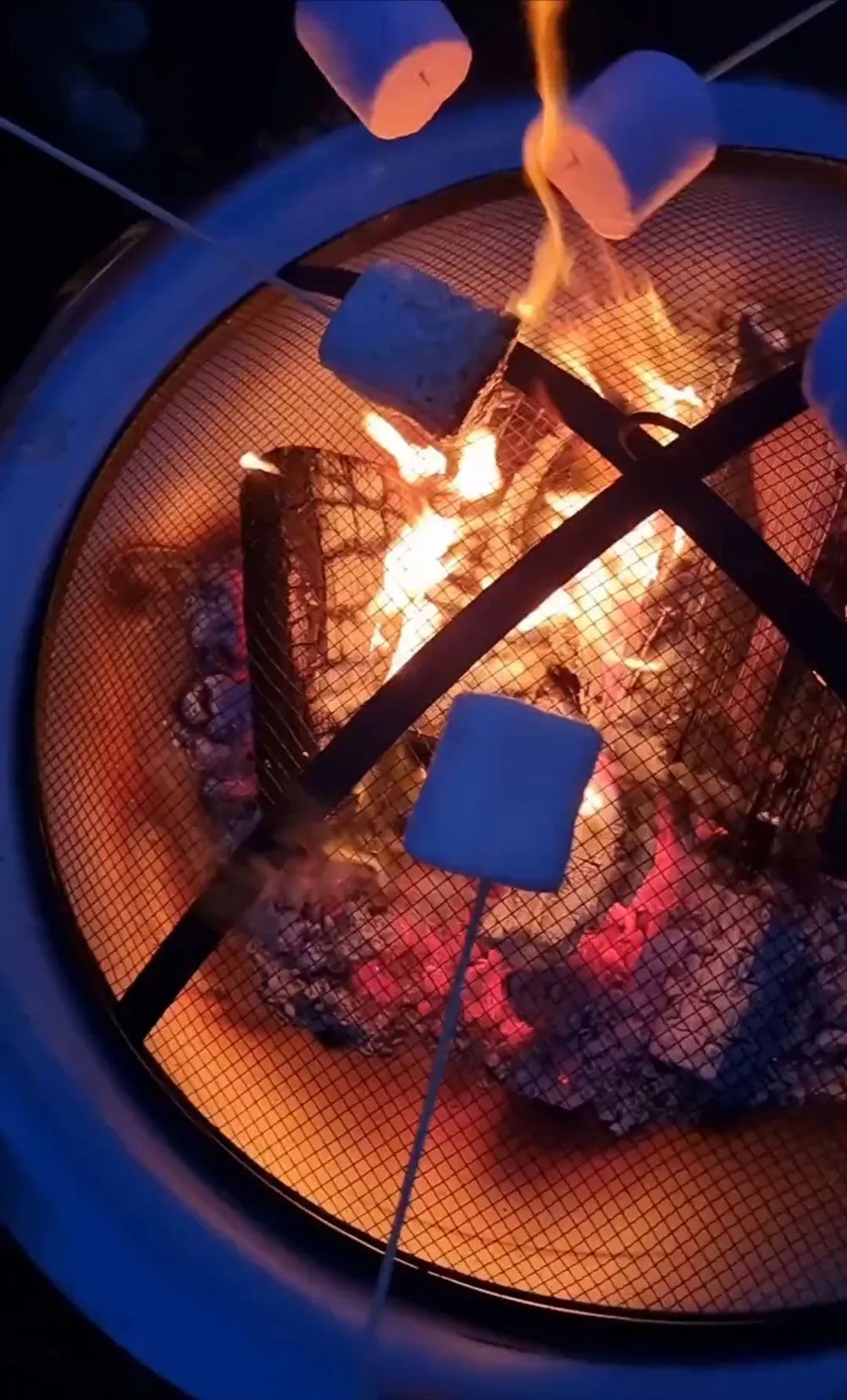 Marshmallow Roasting