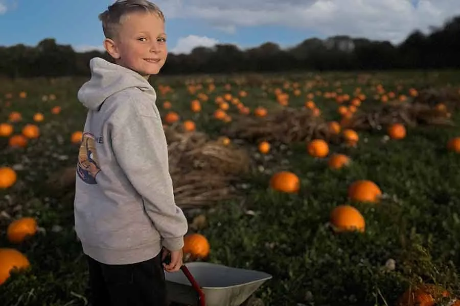 Odds pumpkin patch buckinghamshire