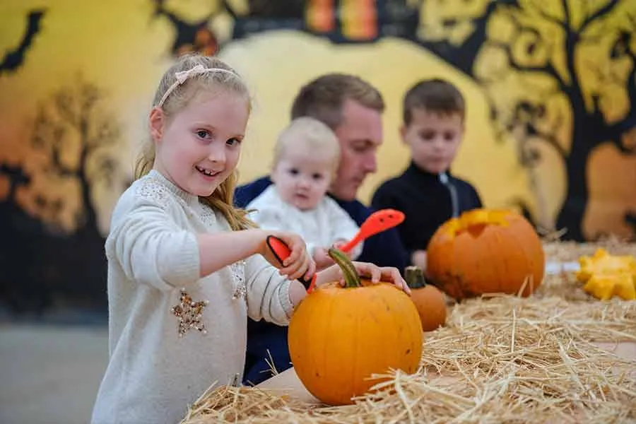 Pumpkin carving odds half term