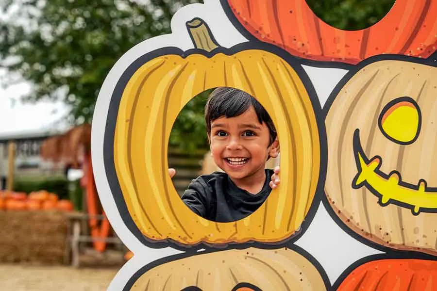 Pumpkin patch photo ops