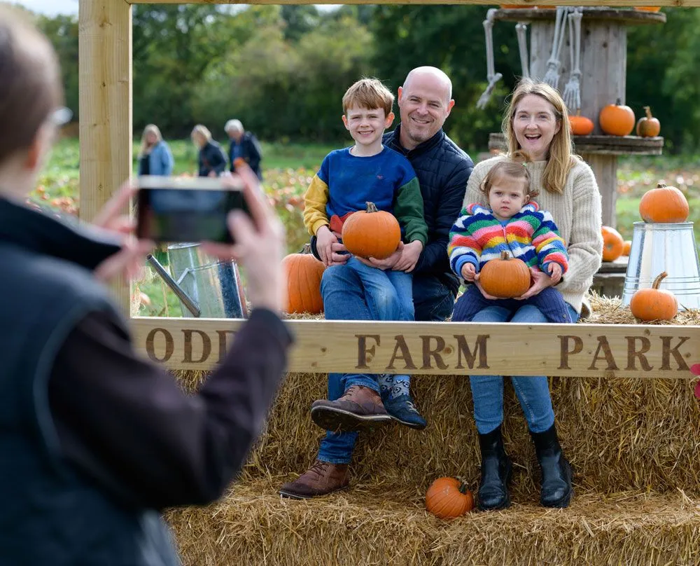 Pumpkin Patch Photos