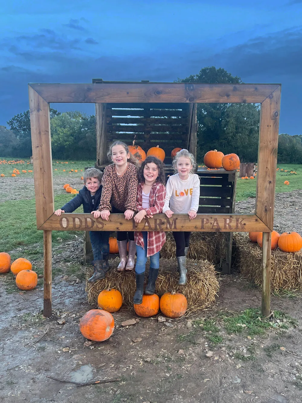 Pumpkin Picking Lates (2)