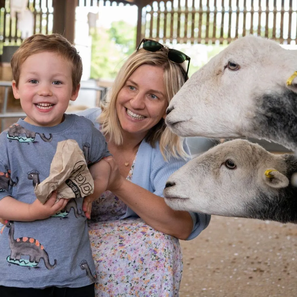 Xr:d:daf n2ylwg4:4,j:3193473487680569947,t:24031115